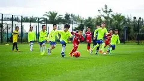 激情对决！博洛尼亚主场迎硬战，佛罗伦萨谁能笑傲风云场？