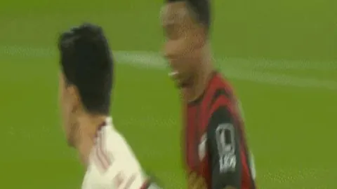 宫鲁鸣加盟中国篮协，出任副主席职位